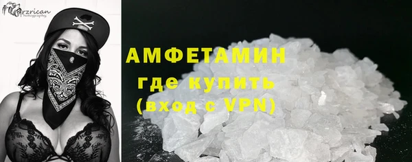 СК Алексин