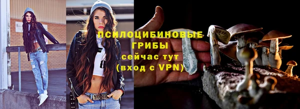 СК Алексин