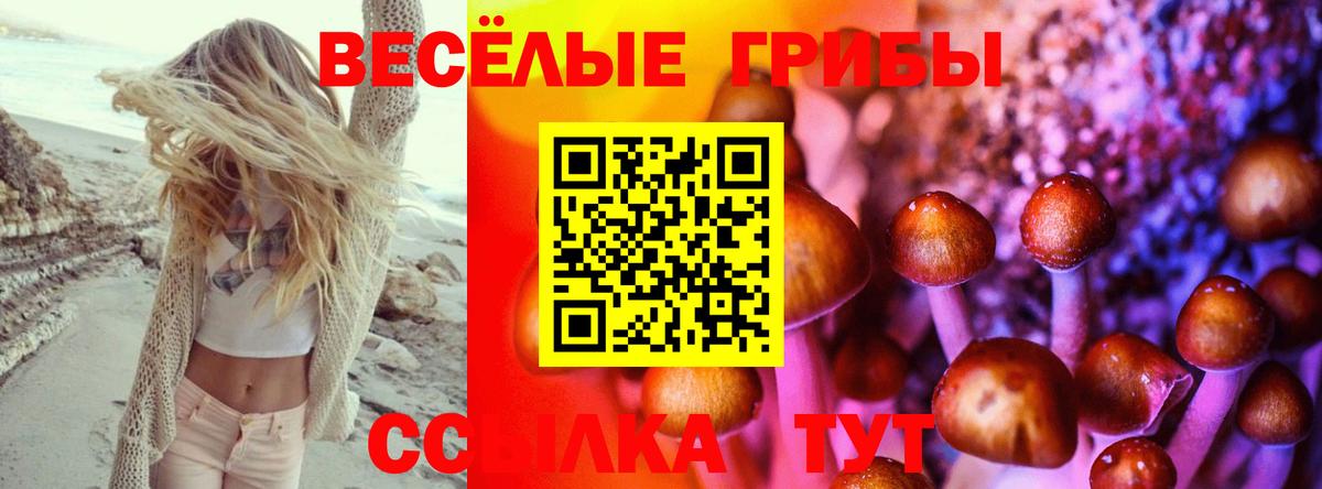 Галлюциногенные грибы ЛСД Сыктывкар