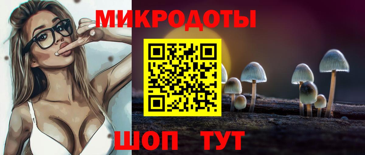 Сыктывкар  Галлюциногенные грибы Psilocybine cubensis  наркота  Вход с VPN 